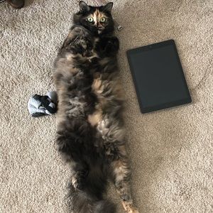 Meet your Posher, Kimberly